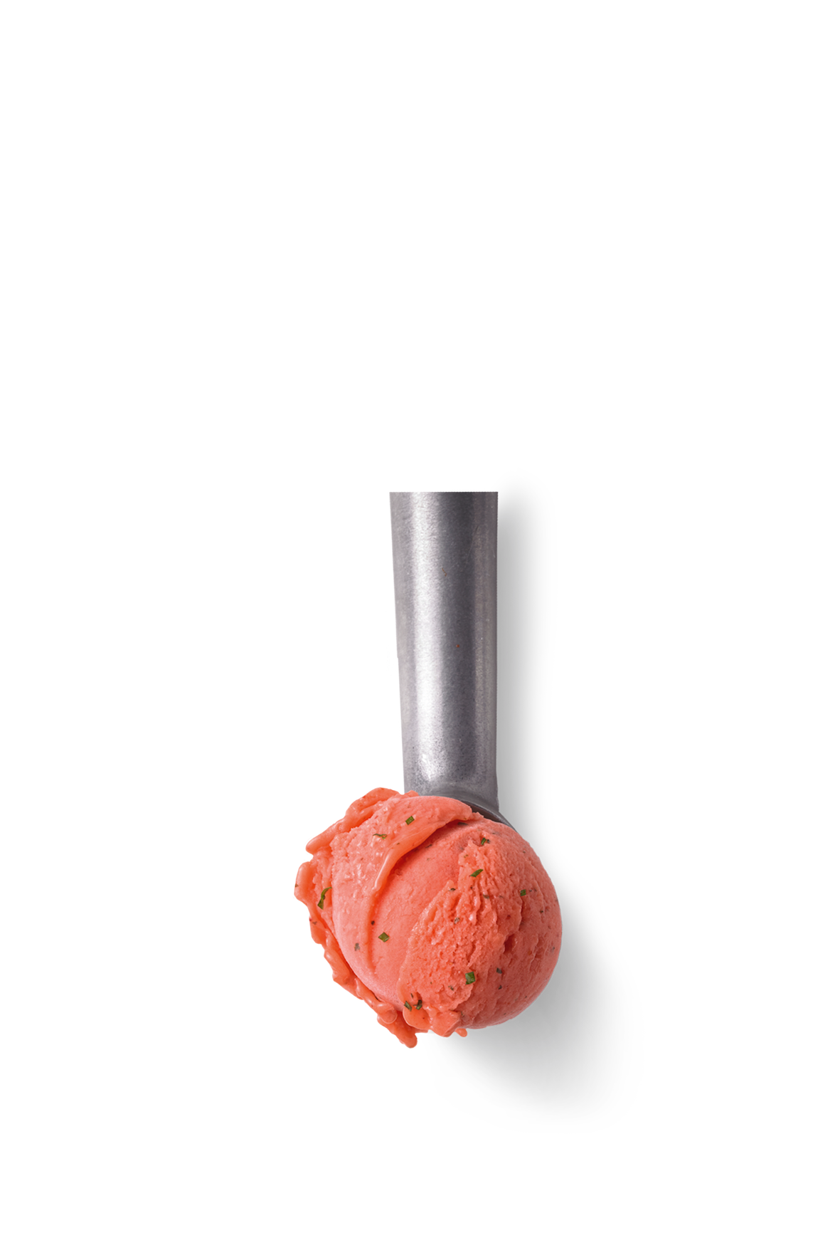 5l Erdbeer-Minze (v)