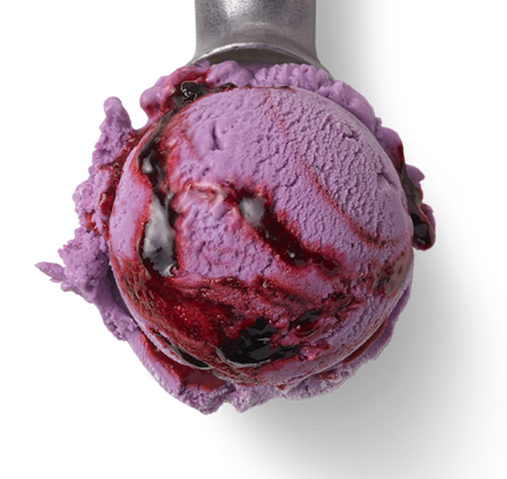 5l Heidelbeer-Lavendel - Luicella&amp;#39;s Ice Cream